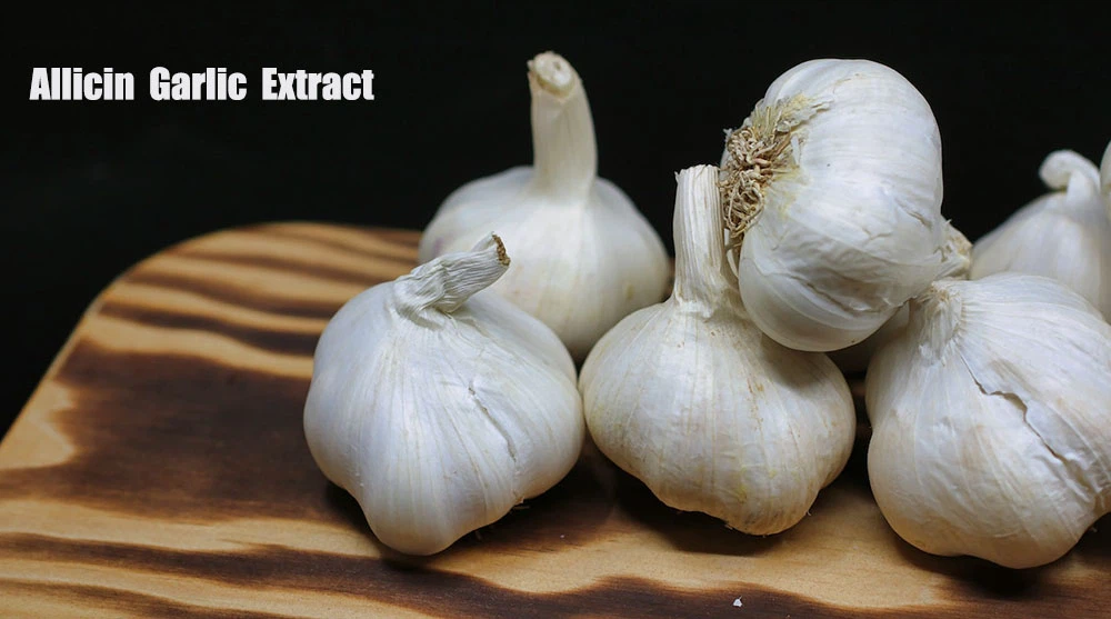 Allicin Garlic Extract.png